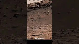 Life on Mars? ancient lake bed #Mars #lifeonmars