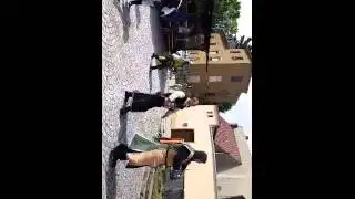 Stadfest G&ouml;&szlig;nitz 2014 Schaukampf der Ritterschaft zu Reychenfels und den Nobilie Terra Plisnensis