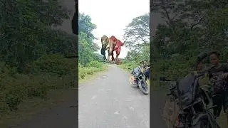 Big Dinosaur chase T-Rex chasing part- 728 #shorts #dinosaur #youtube #dinosaurs #youtubeshorts