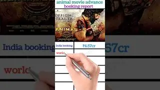animal movie advance booking report #shorts #ytshorts #animal