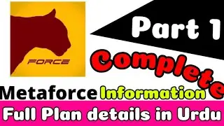 Meta Force Plan Full Detail In Urdu/Hindi || Force Classic || Polygon