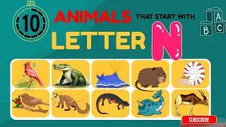 &ldquo;10 Incredible N Animals  Educational Animal Video for Kids&rdquo;n