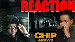 CHIP - 4 RAWS (ВИЗУАЛИЗАТОР) РЕАТИН