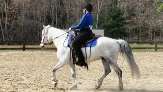 Grace Houghton and Kiplingers Whiskey-Jack Equine Affaire Application Video