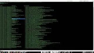 [Destemido] Fivem BYPASS for MANUAL Napse/Echo/Ocean Any PC CHECK