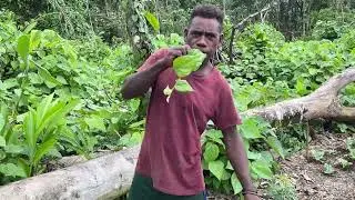 BANYAK TETAMU DATANG KE RUMAH KEBUN CLEMENT // APA DIA ORANG BUAT??🤔🤔