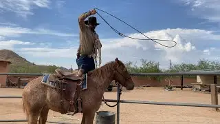AZHT: How to Get a Horse Use to the Lasso
