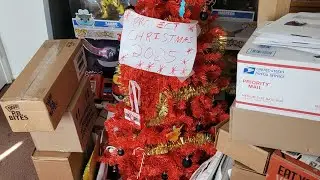 Project Christmas 🎄🎁 2025 unboxing Part 3 Of 3