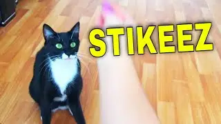 Learning colors with STIKEEZ ! Stikeez 2020 / Stikeez lidl