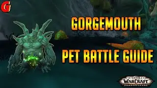 Gorgemouth Pet Battle Guide - Shadowlands
