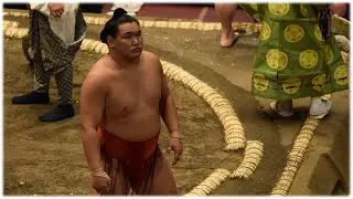 Hoshoryu's 22 winning techniques in 2022