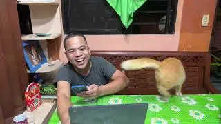 IKAW ANU GUSTO MO ASAWA O PERA?