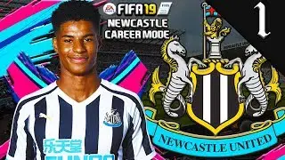 RASHFORD, CARROLL, HERRERA SIGN! FIFA 19: NEWCASTLE UNITED CAREER MODE S1 #1