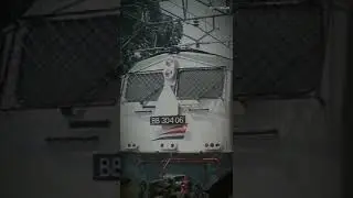 bb304