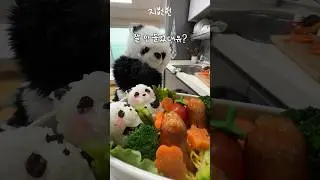 요즘 이 판다가 핫한 이유