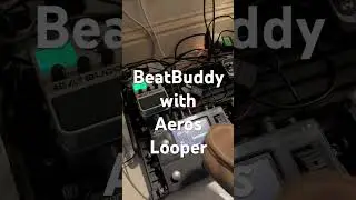 Live looping Pure Shore #shorts #beatbuddy #livelooping