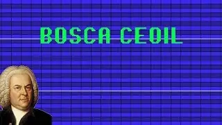 Bach in Bosca Ceoil