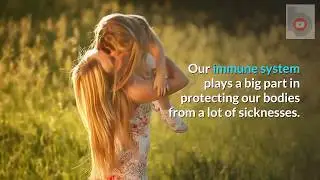 Food to Boost Your Immune System (by the bitesize studios team)