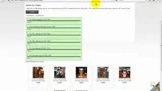 How to setup Showcase Tab application on Facebook Page using SocialAppsHQ