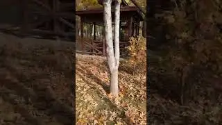 Самый лучший парк в Конье