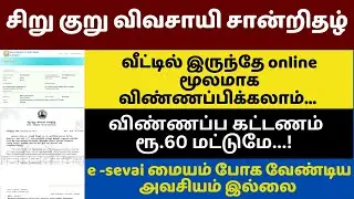 🔥 How to Apply Small Marginal Farmer Certificate Online in tamil 2024 | சிறுகுறு விவசாயி சான்றிதழ்