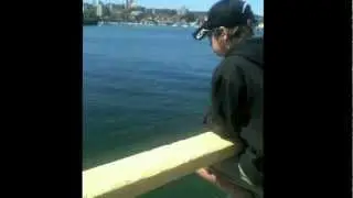 Squid fishing |  Manly