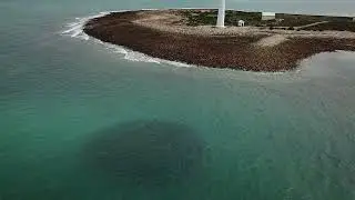 Point Lowly Salmon Sep 2022