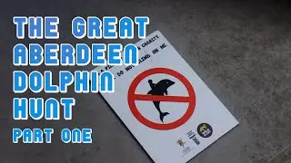 The Great Aberdeen Dolphin Hunt 2014 (Part 1) | Ovinicus
