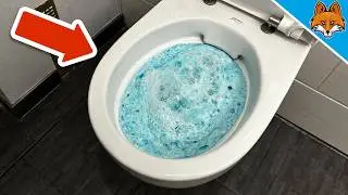 Der (Geheime) Toilettentrick &uuml;ber den JEDER spricht💥(Toilettenbombe)🤯
