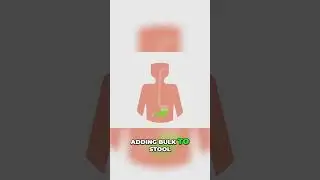 Apple Fiber: The Secret Weapon for a Happy Gut & Regularity!