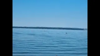 Nature Video - Hill Head Beach