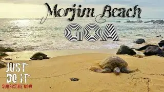 MORJIM BEACH - GOA (INDIA) |The village known as 