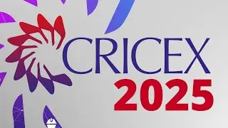 Cricex institucional 2025