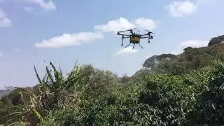 Using drone in a coffee farm.