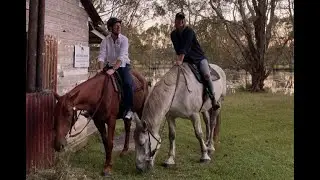 Zephyr Horses Byron Bay on Sunrise 17th March 2023