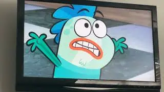 Fish hooks at the horse dealership