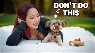Top 5 Things Dogs Hate That Owners Do