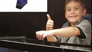 Best Hamster Wheel Ever!