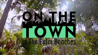 Environmentally Friendly Activities to Do in the Palm Beaches