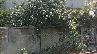 Uthandi VGP Layout 2 Gr South Facing Plot