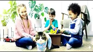 Cat & kids stori. Best friends & family #cat #kids #best #friends #family
