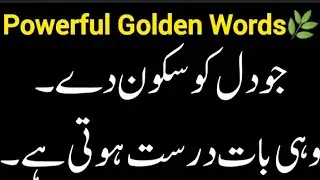 Golden Words That Touch the Heart | Life-Changing Motivation in Urdu SochoSamjhoTv