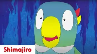 Flappie's Indecision... 🥵 Kindergarten | 24 Minute Compilation | Kids video for Kids | Shimajiro