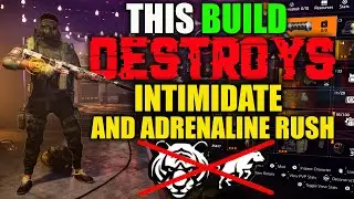 BEST SOLO AR BUILD I HAVE EVER MADE - META BUILD | The Division 2 MAX CRIT DMG + SADIST + RIDGEWAYS