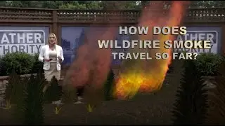 How does wildfire smoke travel so far?
