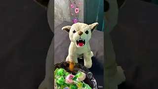 কুকুর দৌড়িয়ে দিলো রাজুকে 🐶😆 #shorts #youtubeshorts #viral #popular