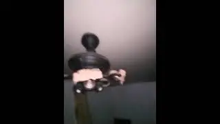 We found a bird in a abandoned house