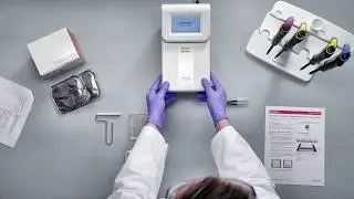 Эффективный полусухой перенос белка с помощью Power Blotter