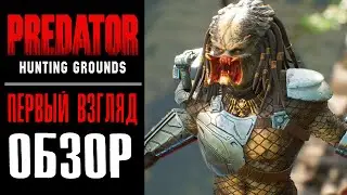 Обзор на Predator Hunting Grounds! Первый взгляд на Хищника!