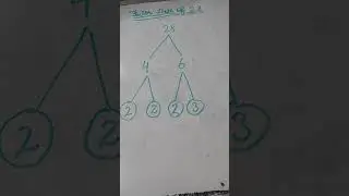 Factor tree of 28